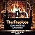 The Fireplace