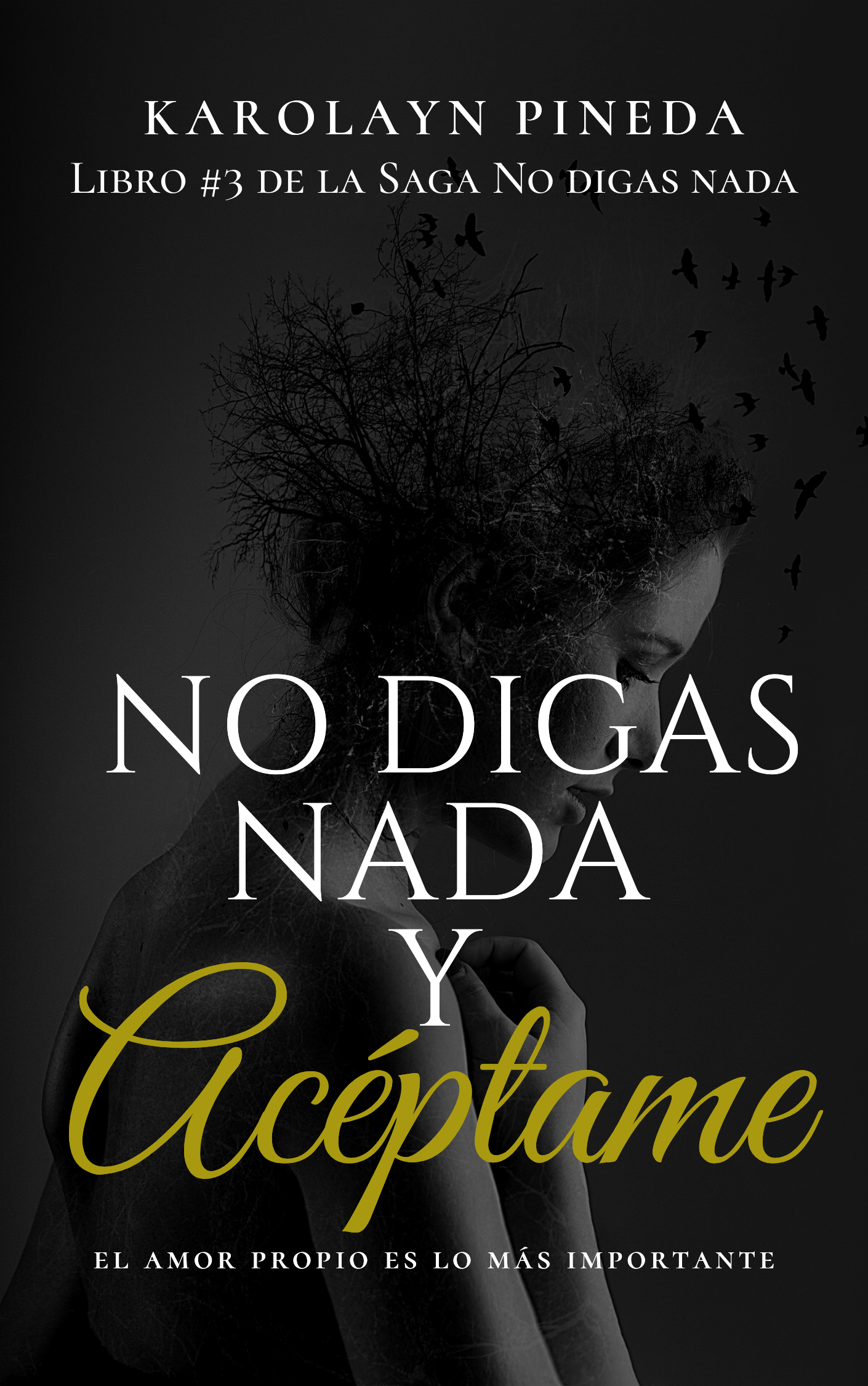 No digas nada y acéptame (No digas nada, #3)