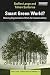 Smart Green World?: Making ...