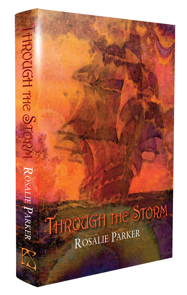 Through The Storm (Hardcover)