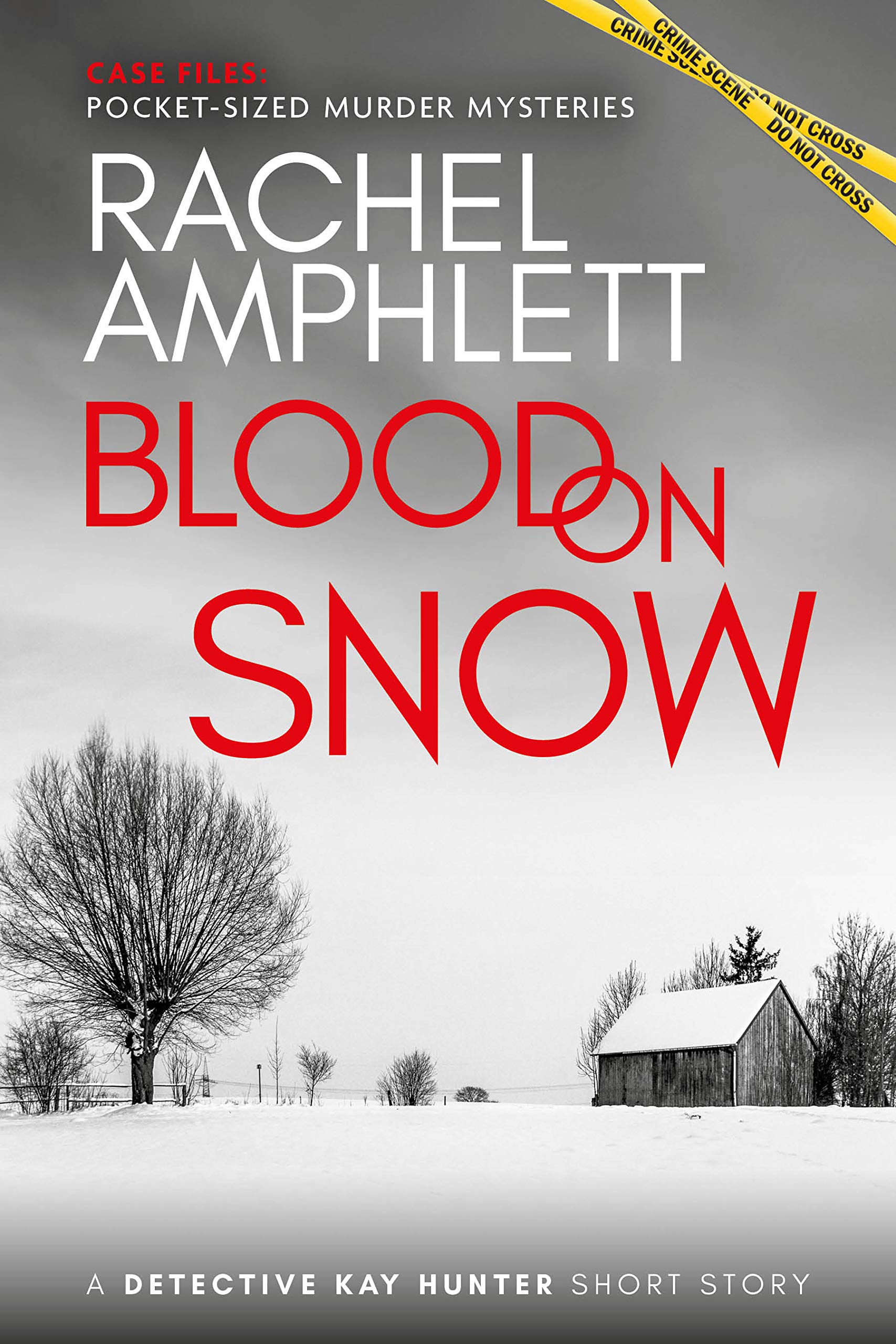 Blood on Snow (Case Files: pocket-sized murder mysteries)