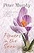 Flowers in the Snow: A Nove...