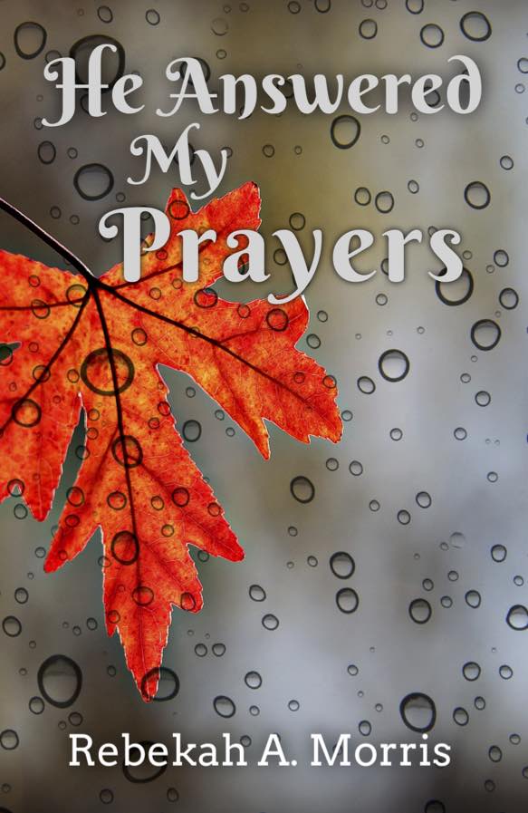 He Answered My Prayers (Paperback)
