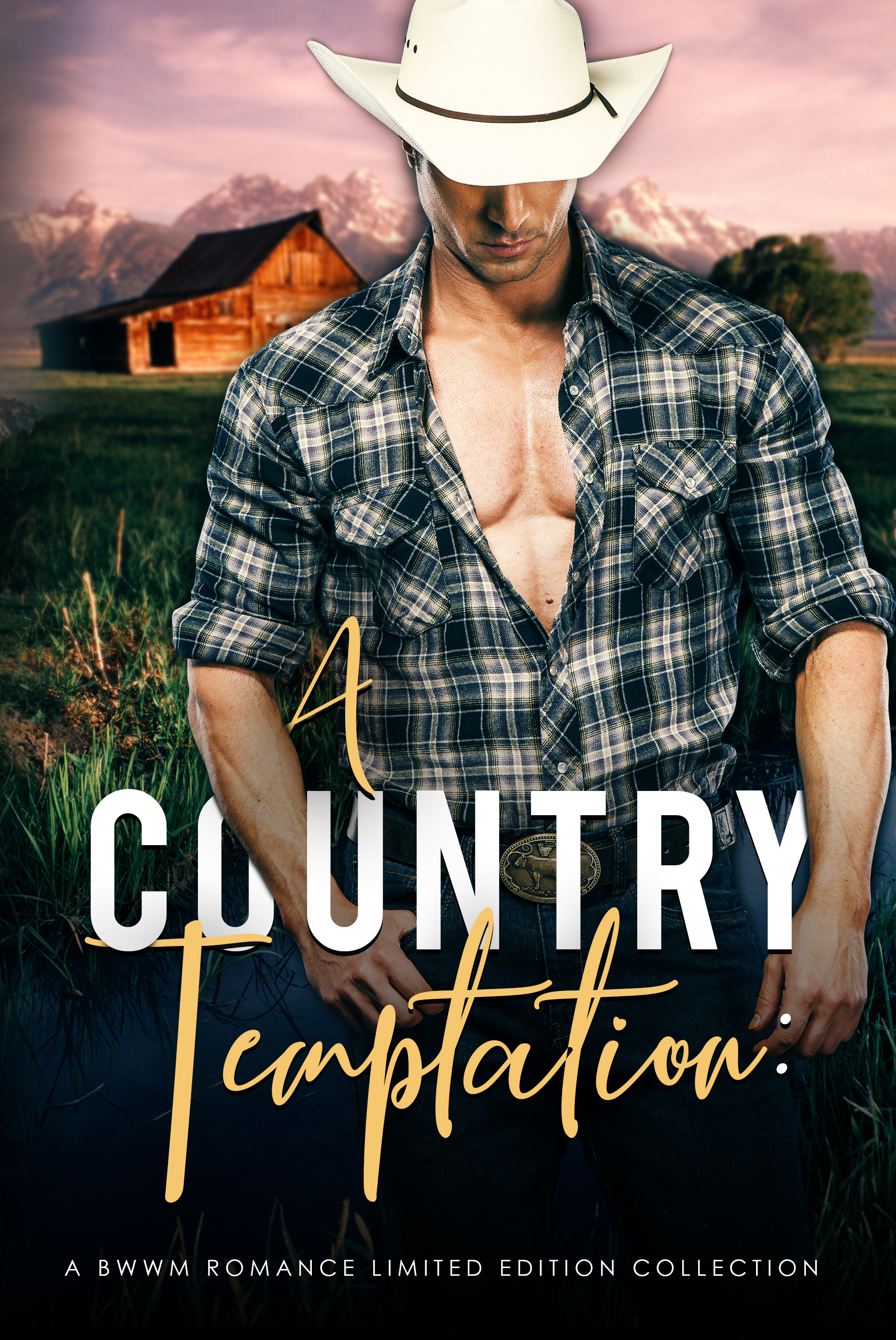 A Country Temptation (Kindle Edition)