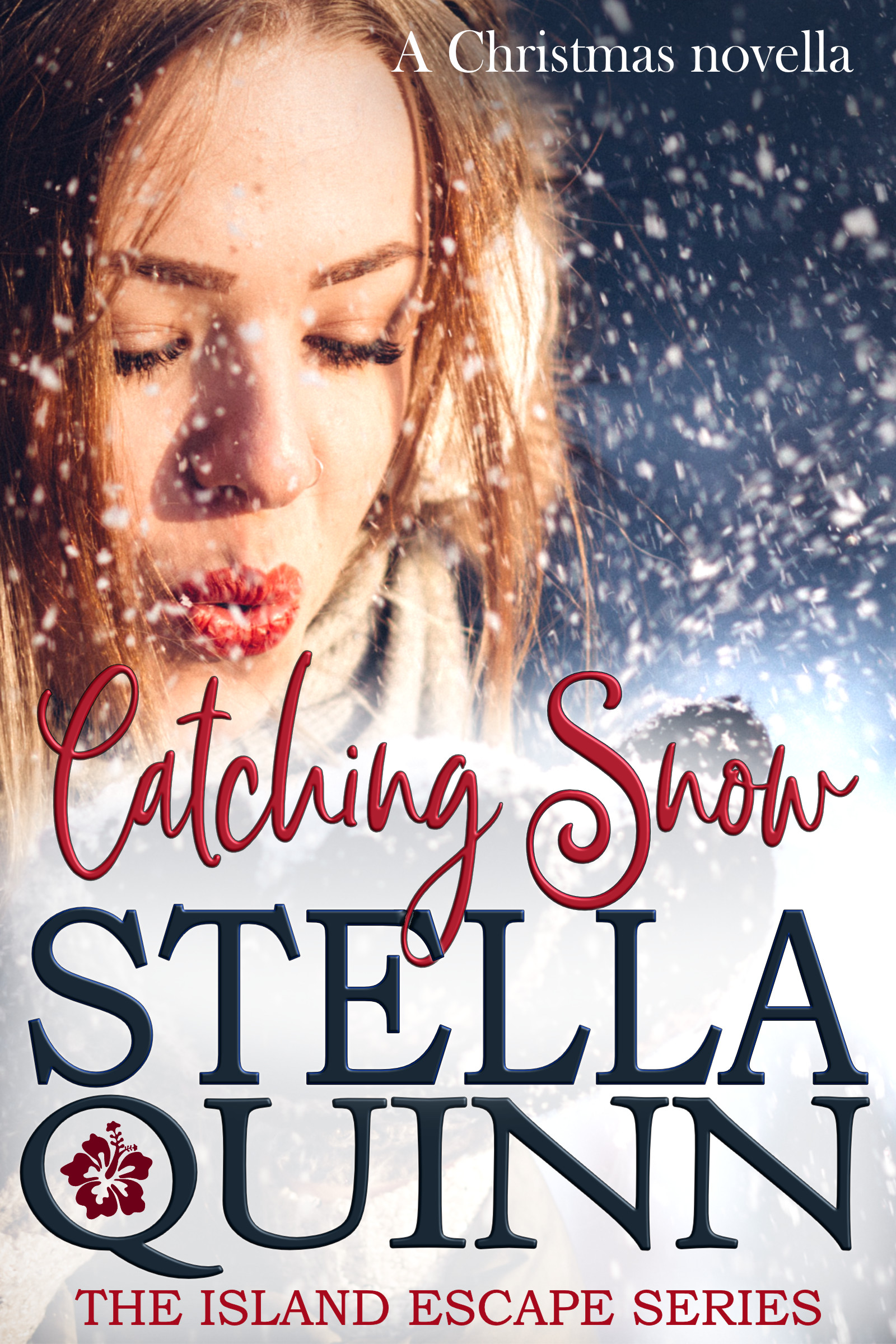 Catching Snow: A Romantic Suspense Christmas Novella (A Stella Novella Book 1)