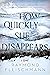 How Quickly She Disappears by Raymond Fleischmann
