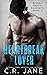 Heartbreak Lover (Broken Hearts Academy #2)