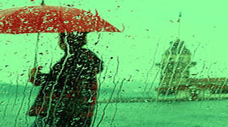 Lockie's Umbrella