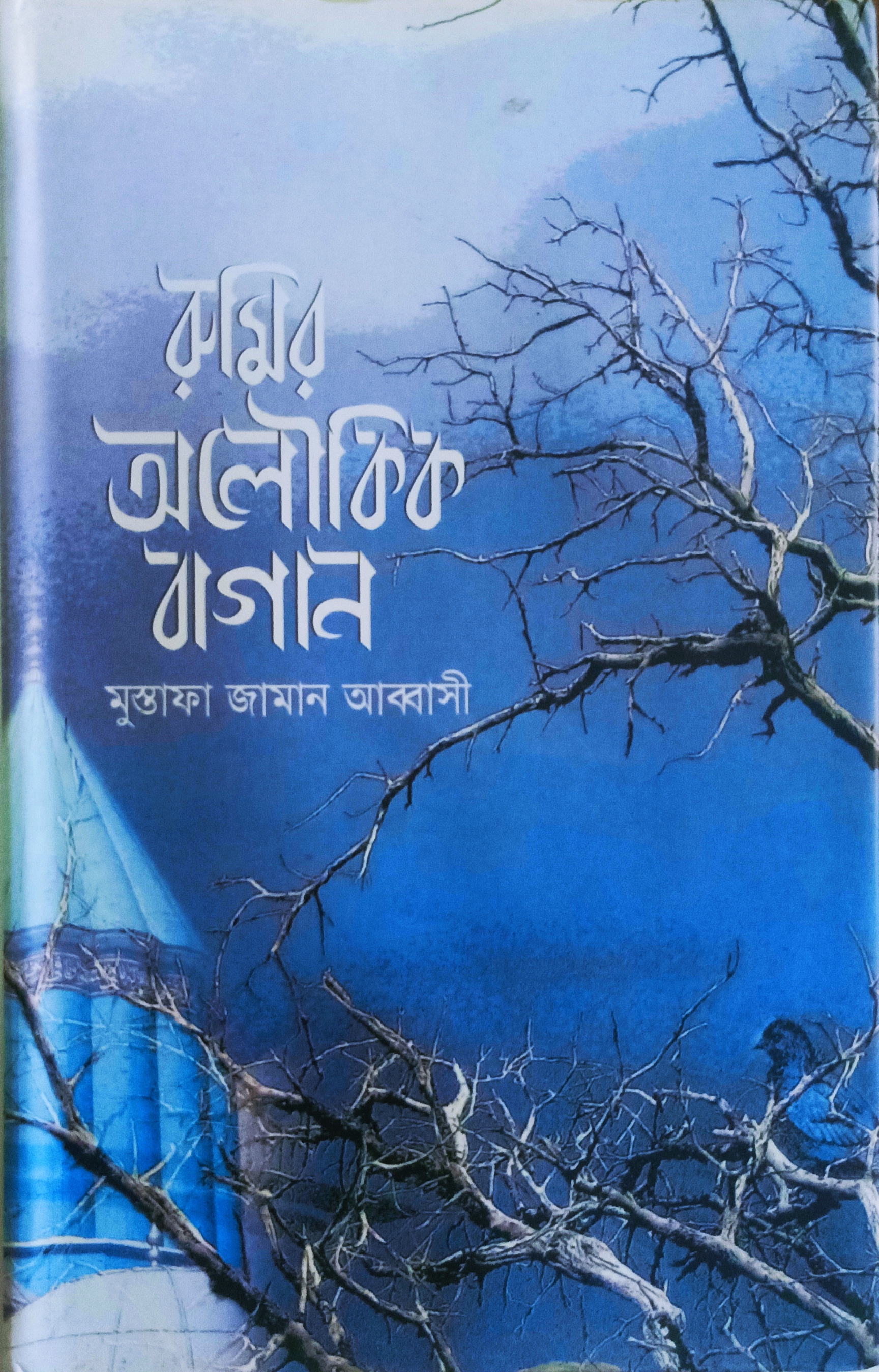 রুমির অলৌকিক বাগান