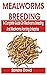 MEALWORMS BREEDING by Sandra David