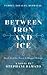 Between Iron and Ice (Dawn and Dagger #2)