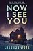 Now I See You (Mountain Resort Mystery series)