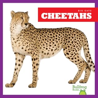 Cheetahs (Bullfrog Books: Big Cats)