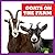 Goats on the Farm (Bullfrog...