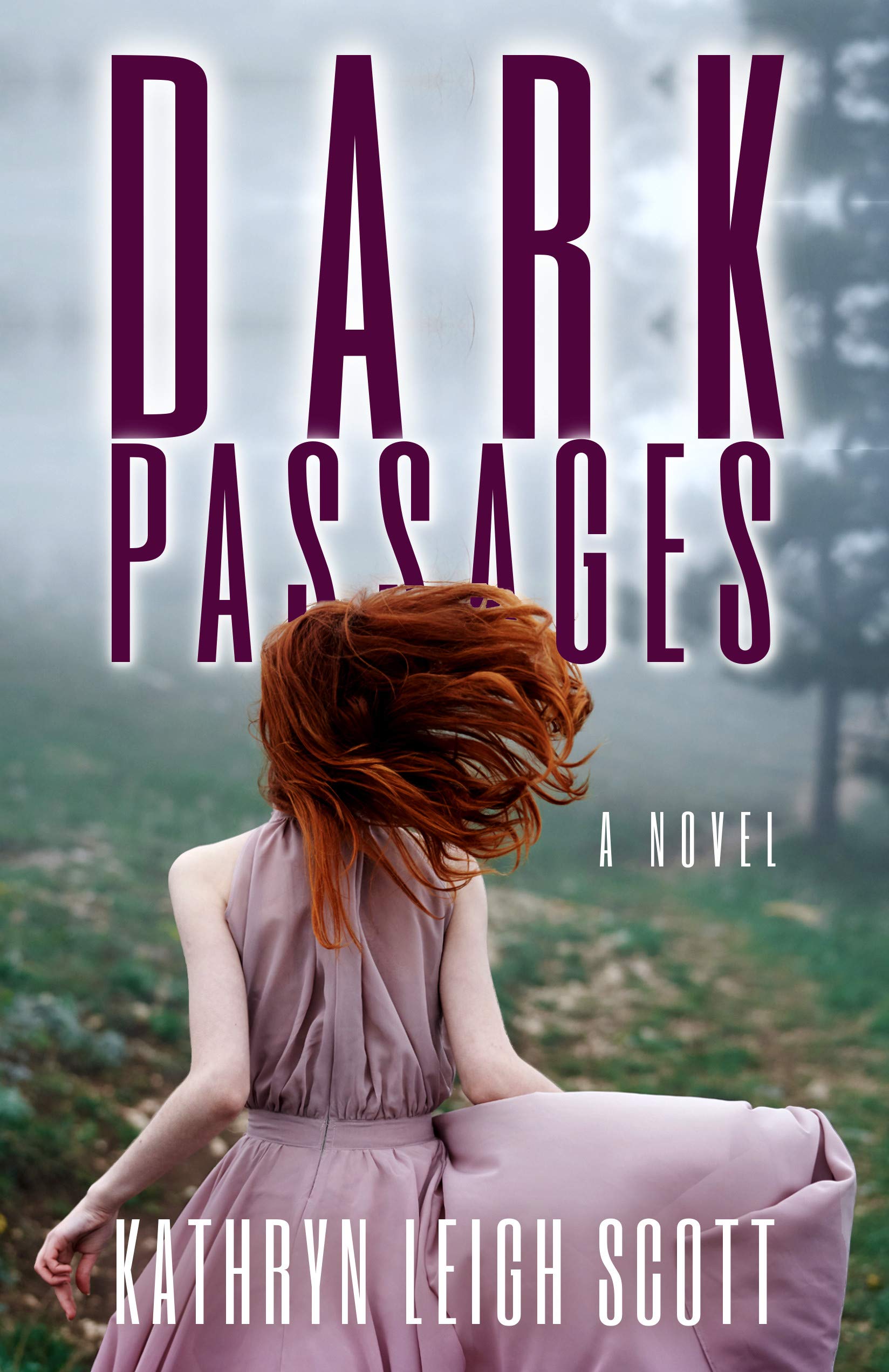 Dark Passages: A Novel (Kindle Edition)