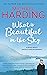 What is Beautiful in the Sky by Michael Harding
