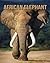 African elephant: Incredibl...