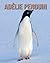 Ad�lie Penguin: Incredible ...