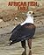 African fish eagle: Incredi...