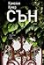 Сън