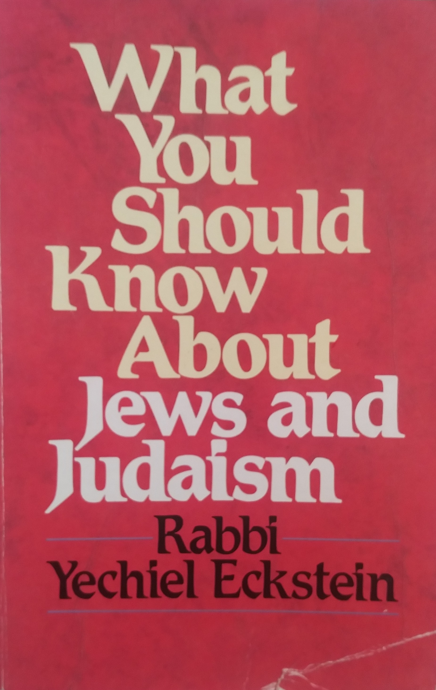 What You Should Know about Jews and Judaism