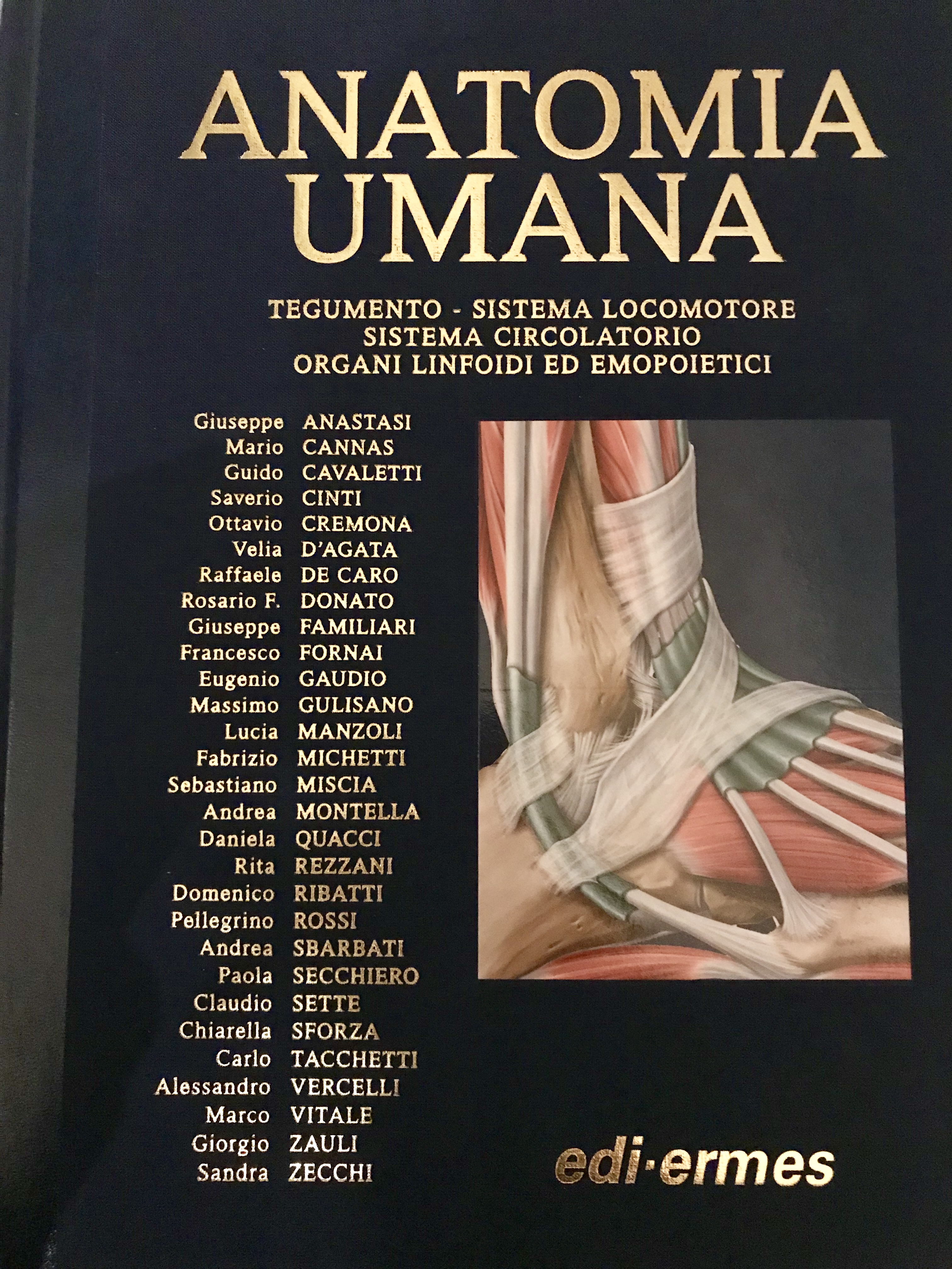 Anatomia umana 1