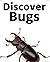 Discover Bugs: Recommended ...
