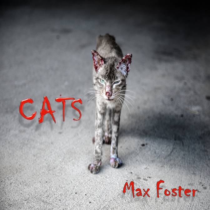 Cats (Kindle Edition)