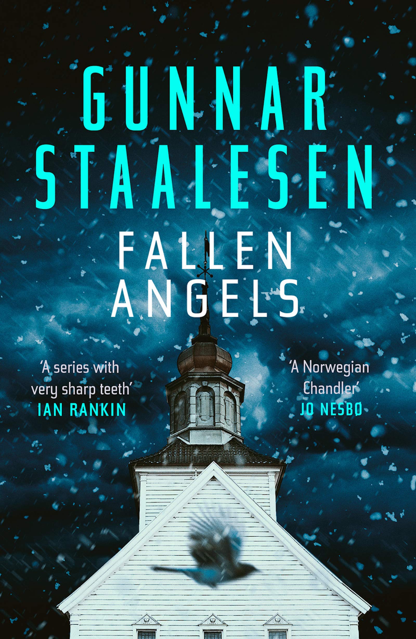 Fallen Angels (Varg Veum, #7)