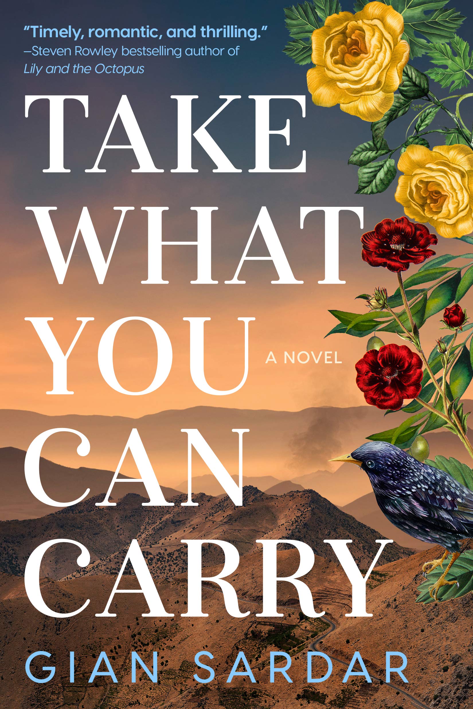 Take What You Can Carry (Kindle Edition)