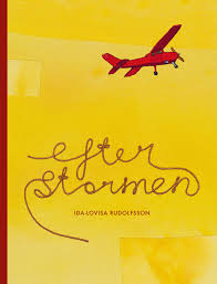 Efter stormen (Hardcover)