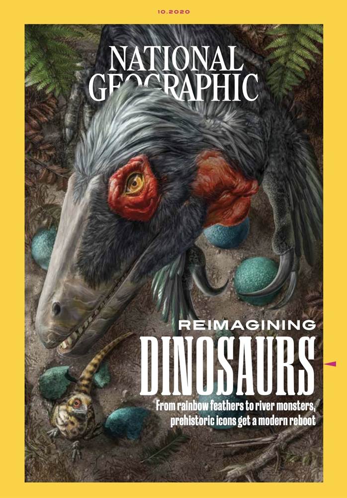 Reimagining dinosaurs (Paperback)