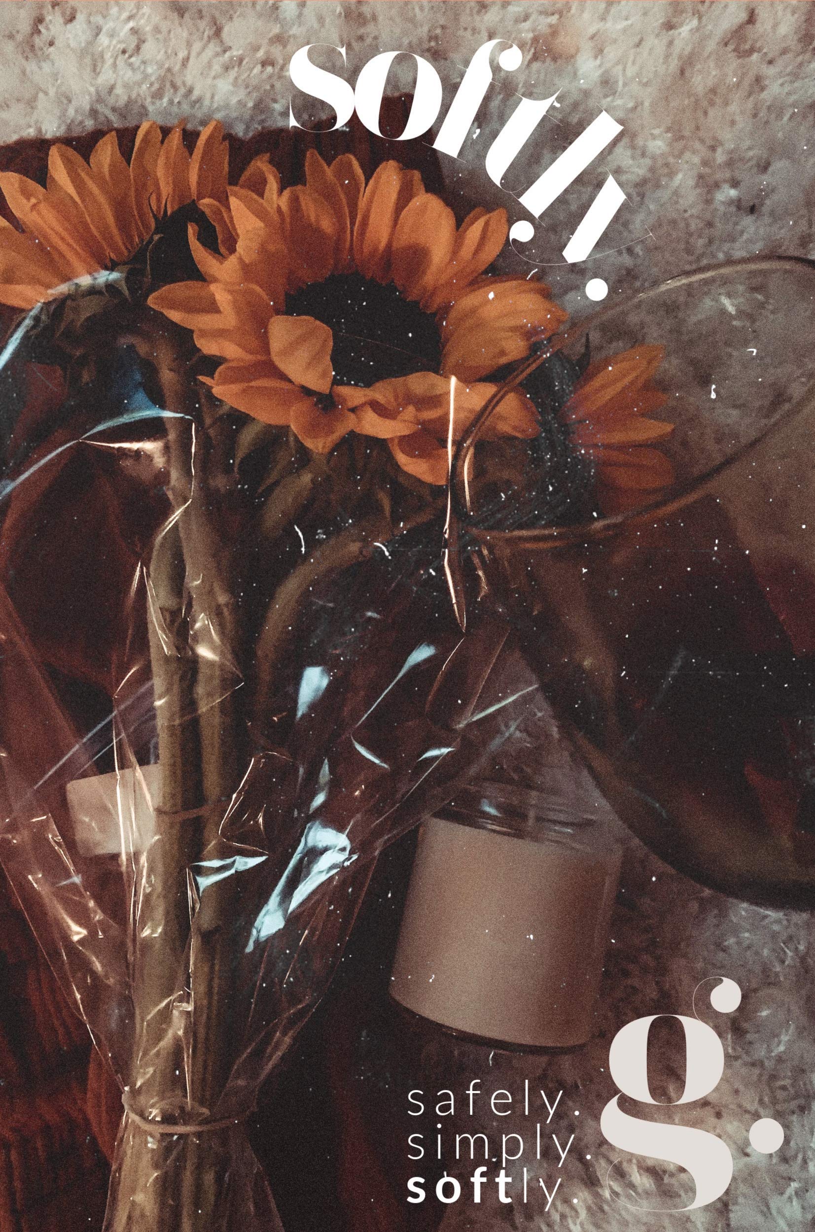 softly. (Kindle Edition)