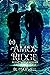 Amos Ridge (Beyond the Realm Remember #5) by B.L. Maxwell