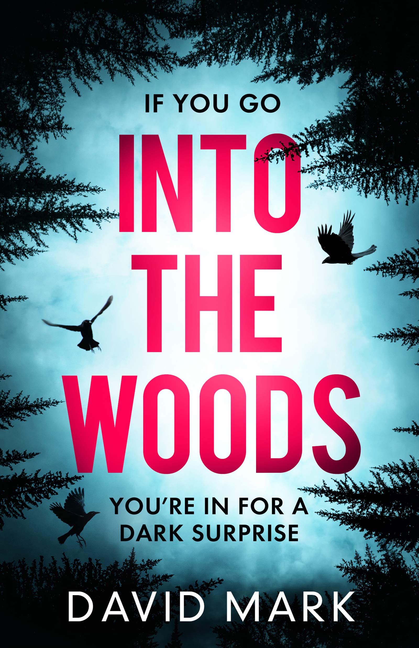 Into the Woods (Kindle Edition)