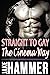 Straight to Gay the Cinema Way by Jake Hammer