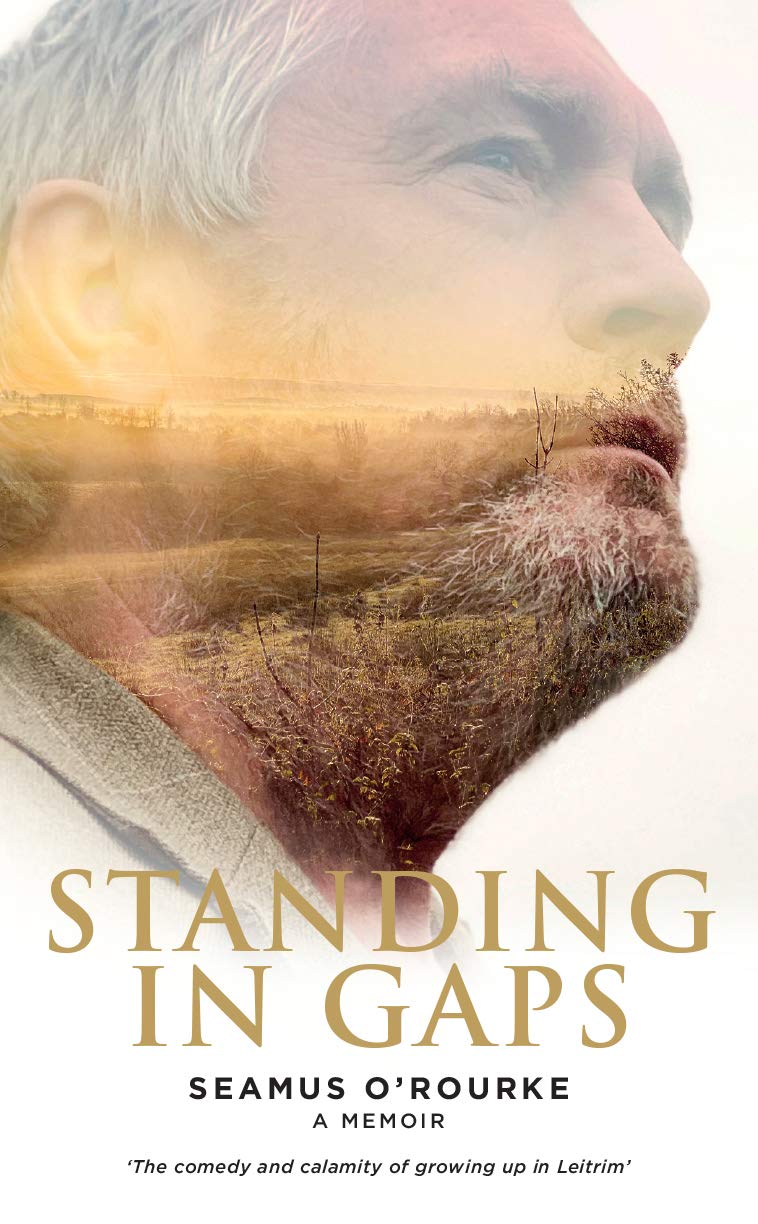 Standing in Gaps: A memoir (Kindle Edition)