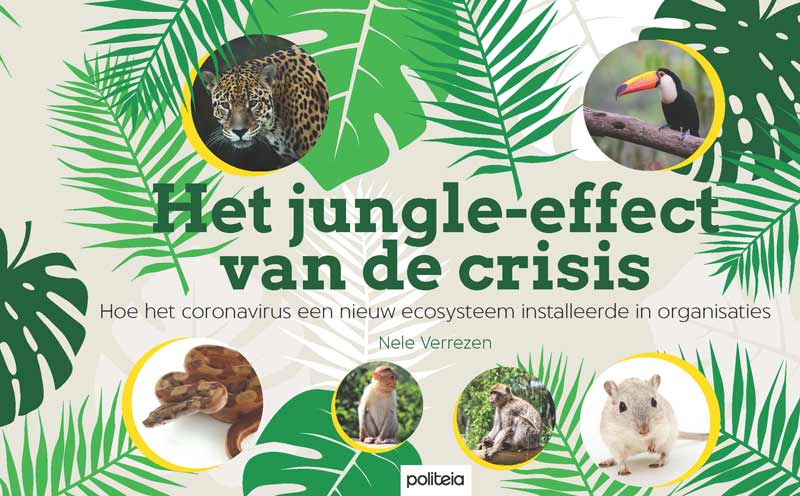 Het jungle-effect van de crisis