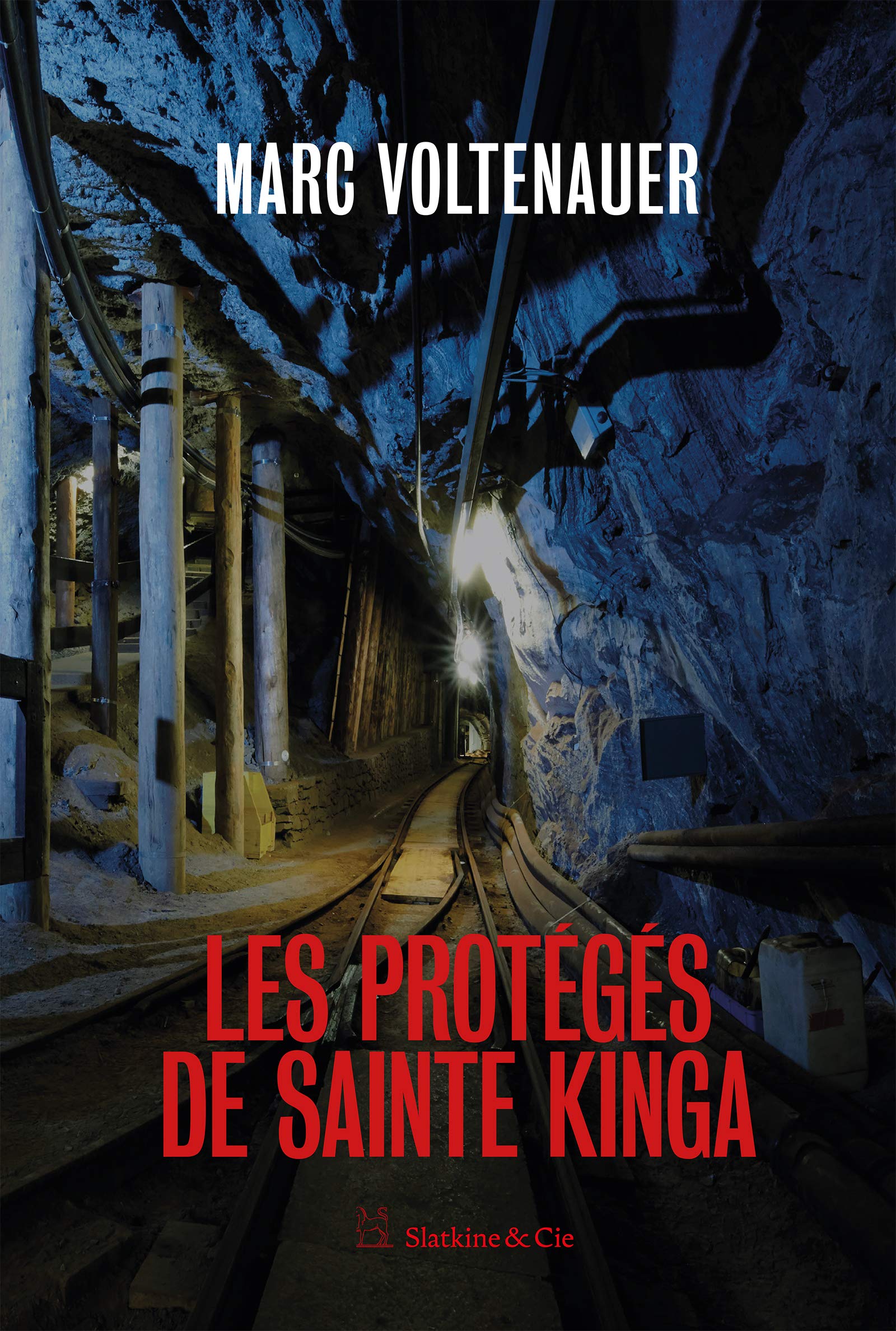 Les protégés de Sainte Kinga: Une enquête de l'inspecteur Andreas Auer - Tome 4 (Paperback)