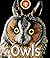 OWLS: Children s Picture Book