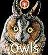 OWLS: Children s Picture Book
