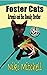 Foster Cats: Artemis and Her Sneaky Brother (A Happy Jack Cats Adventure Book 1)