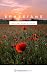 Ephesians: theStory Book St...