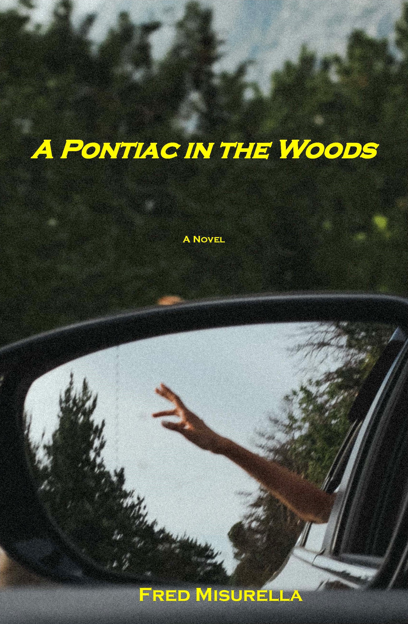 A Pontiac in the Woods (Paperback)