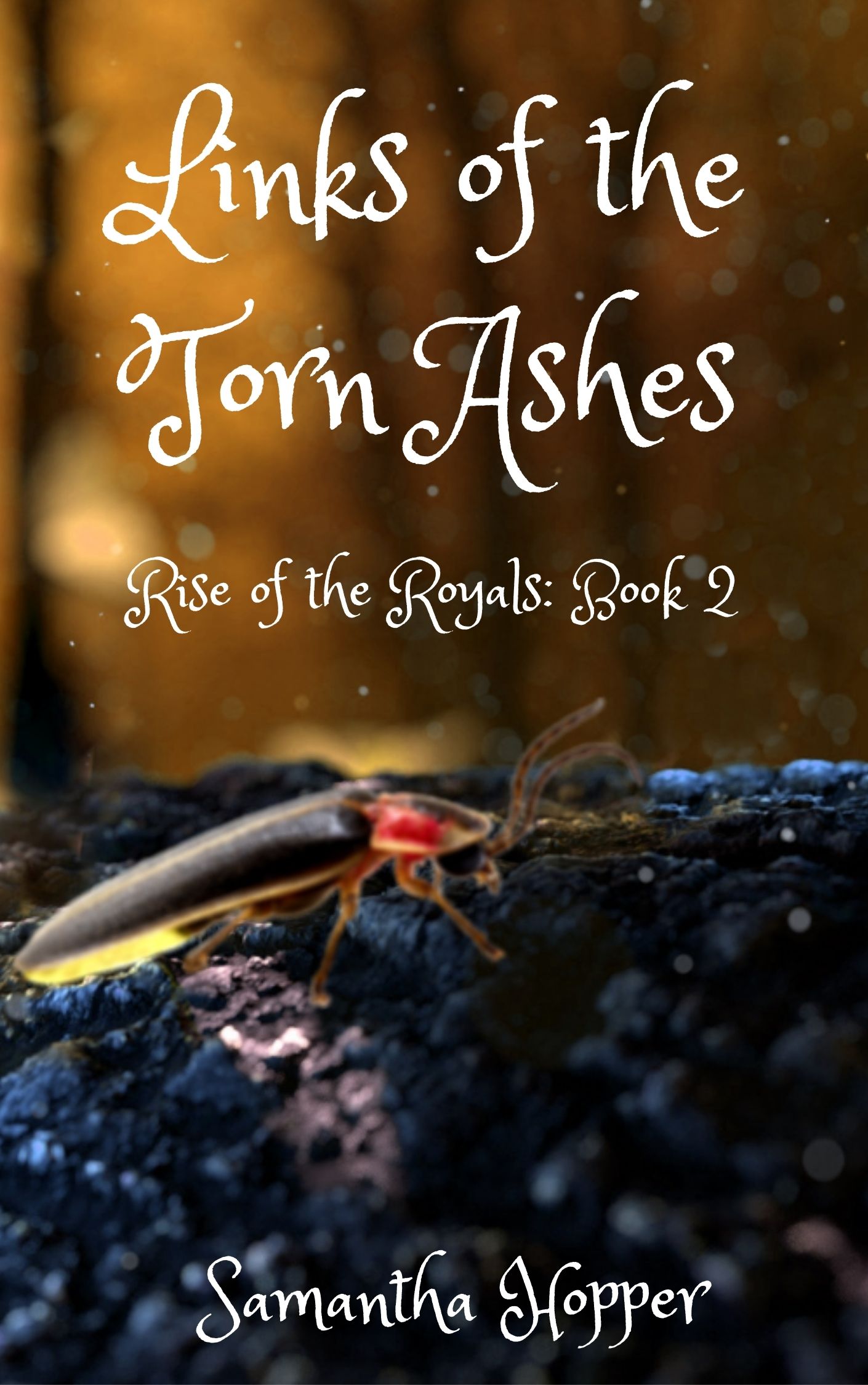 Links of the Torn Ashes