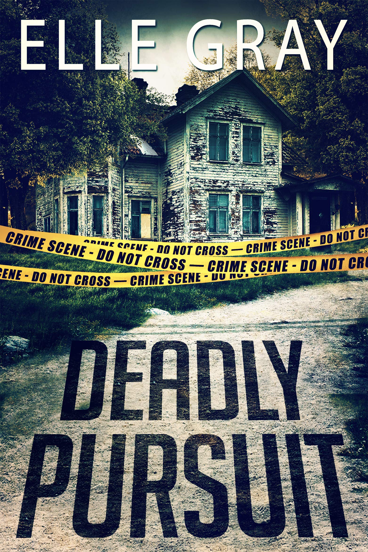 Deadly Pursuit (Arrington Mysteries, #0.5)
