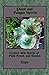 Plant and Fungus Spirits: Connect With Spirits of Field, Forest and Garden
