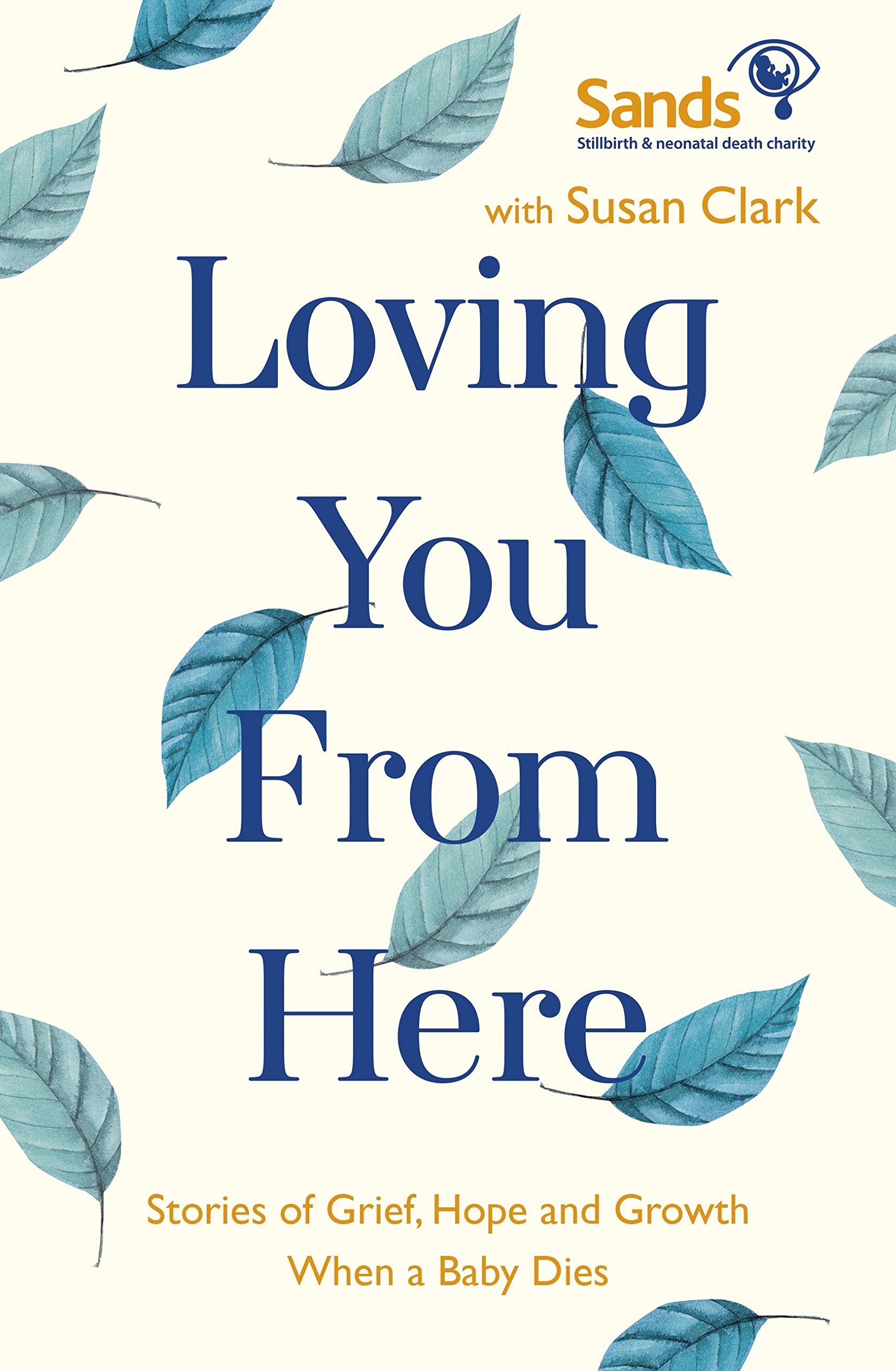 Loving You From Here: Stories of Grief, Hope and Growth When a Baby Dies (Kindle Edition)