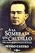A la Sombra de un Caudillo by Pedro Castro