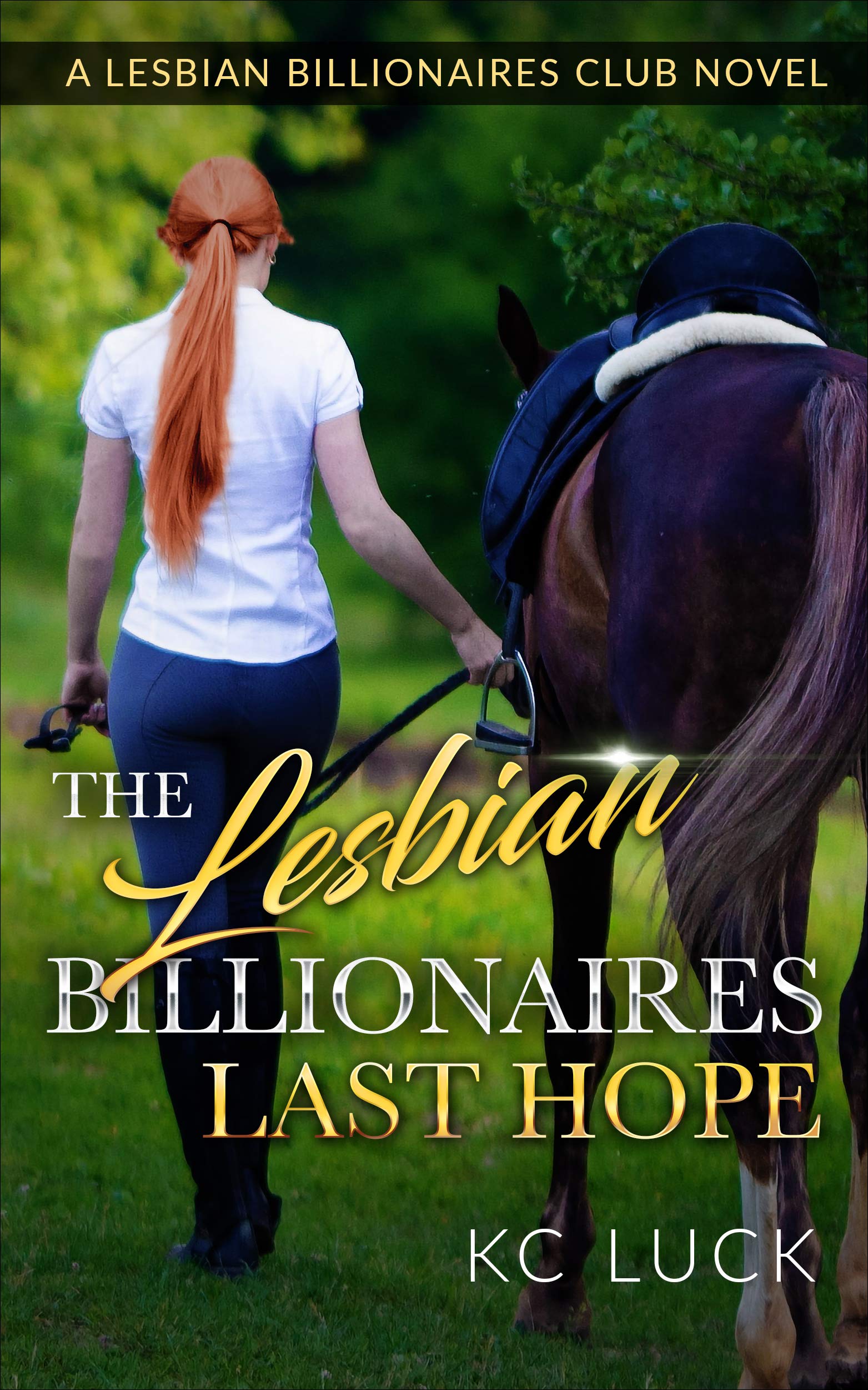 The Lesbian Billionaires Last Hope (TLBC 3)